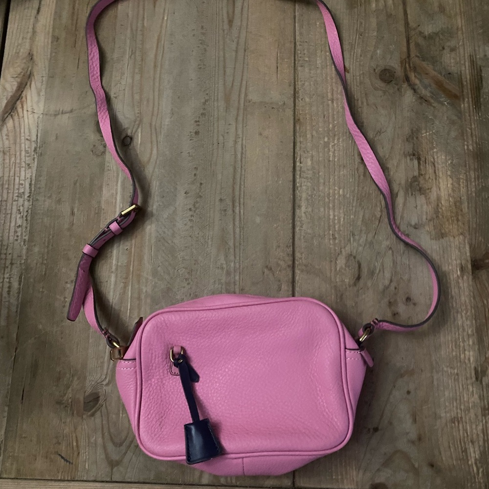 J. Crew Pink Leather Crossbody Bag